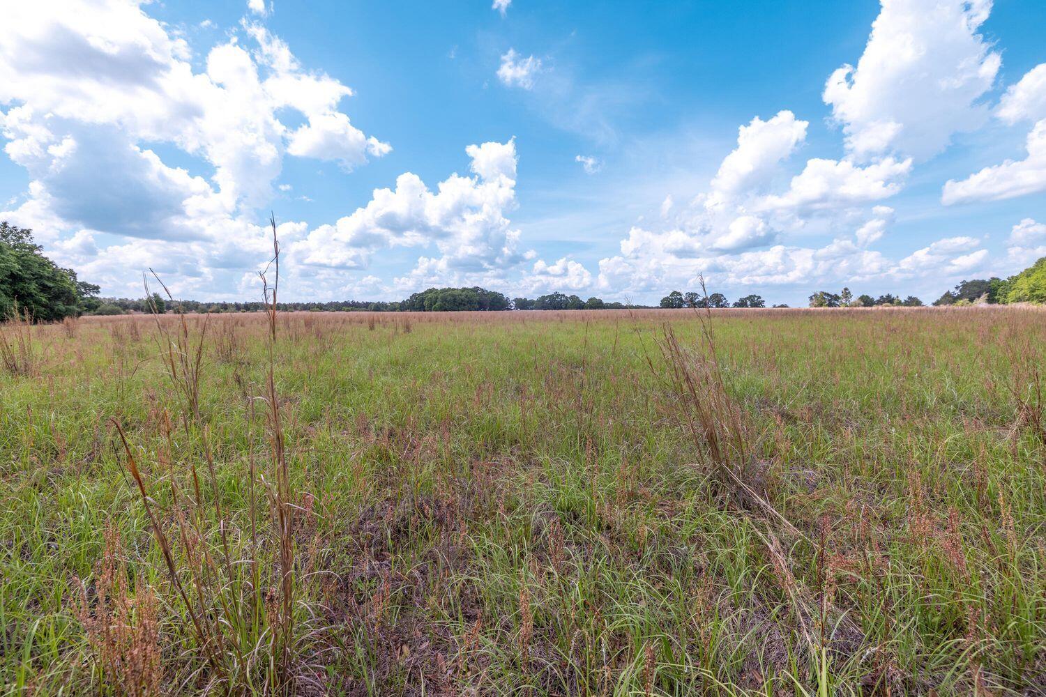 1704 Cobb Road Baker, FL 32531 - Photo 20 of 29 a view of a lake in middle of the town
