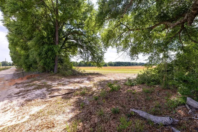 a view of a lake with a yard