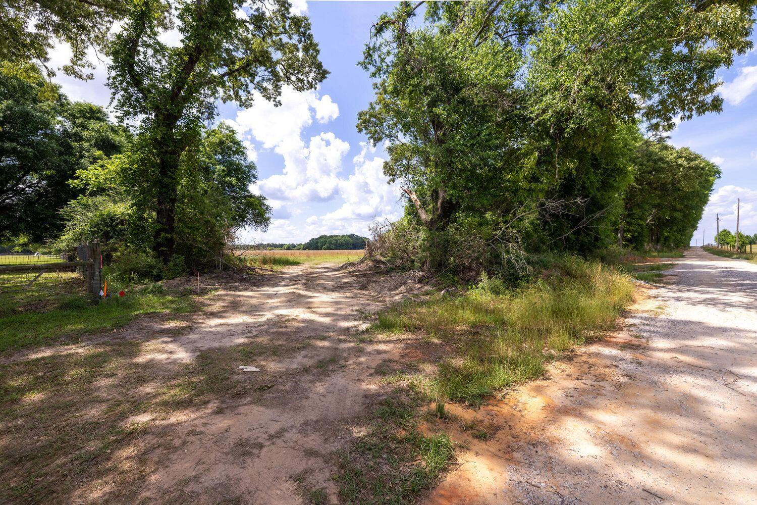 1704 Cobb Road Baker, FL 32531 - Photo 22 of 29 a view of a lake with a yard