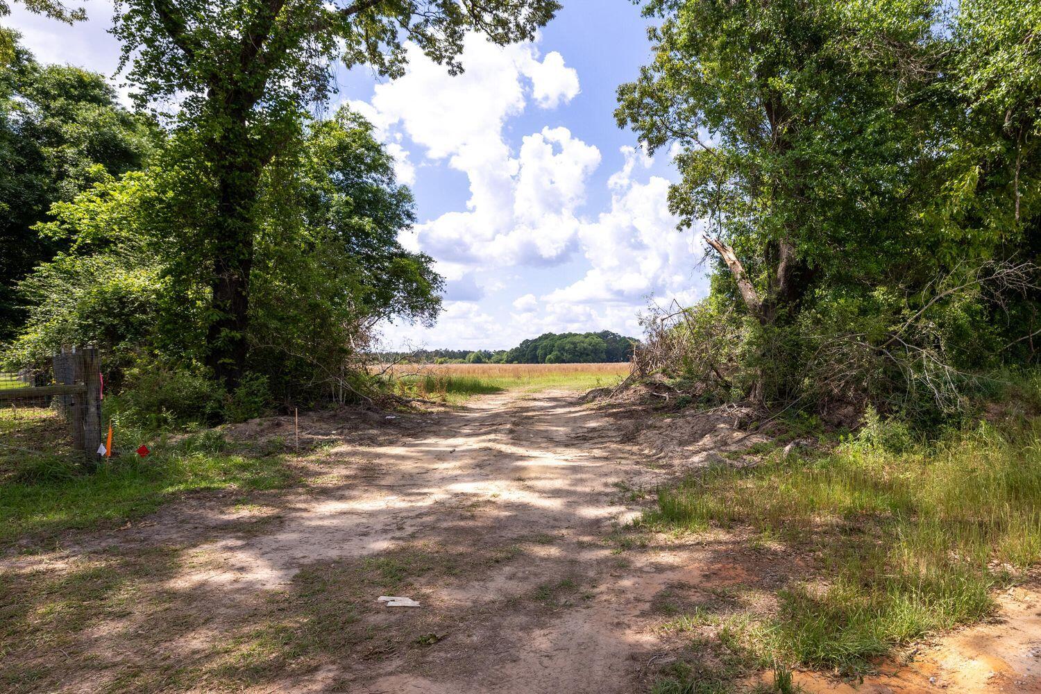 1704 Cobb Road Baker, FL 32531 - Photo 23 of 29 a view of a lake with houses in the back