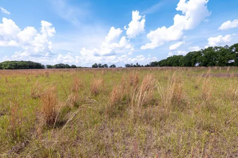 a view of a big yard with lots of green space and mountain view