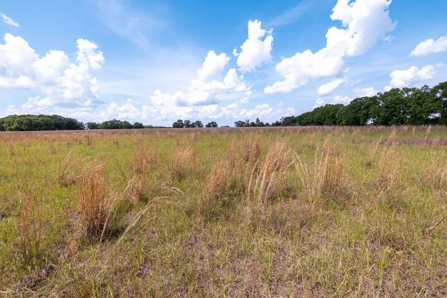 a view of a big yard with lots of green space and mountain view