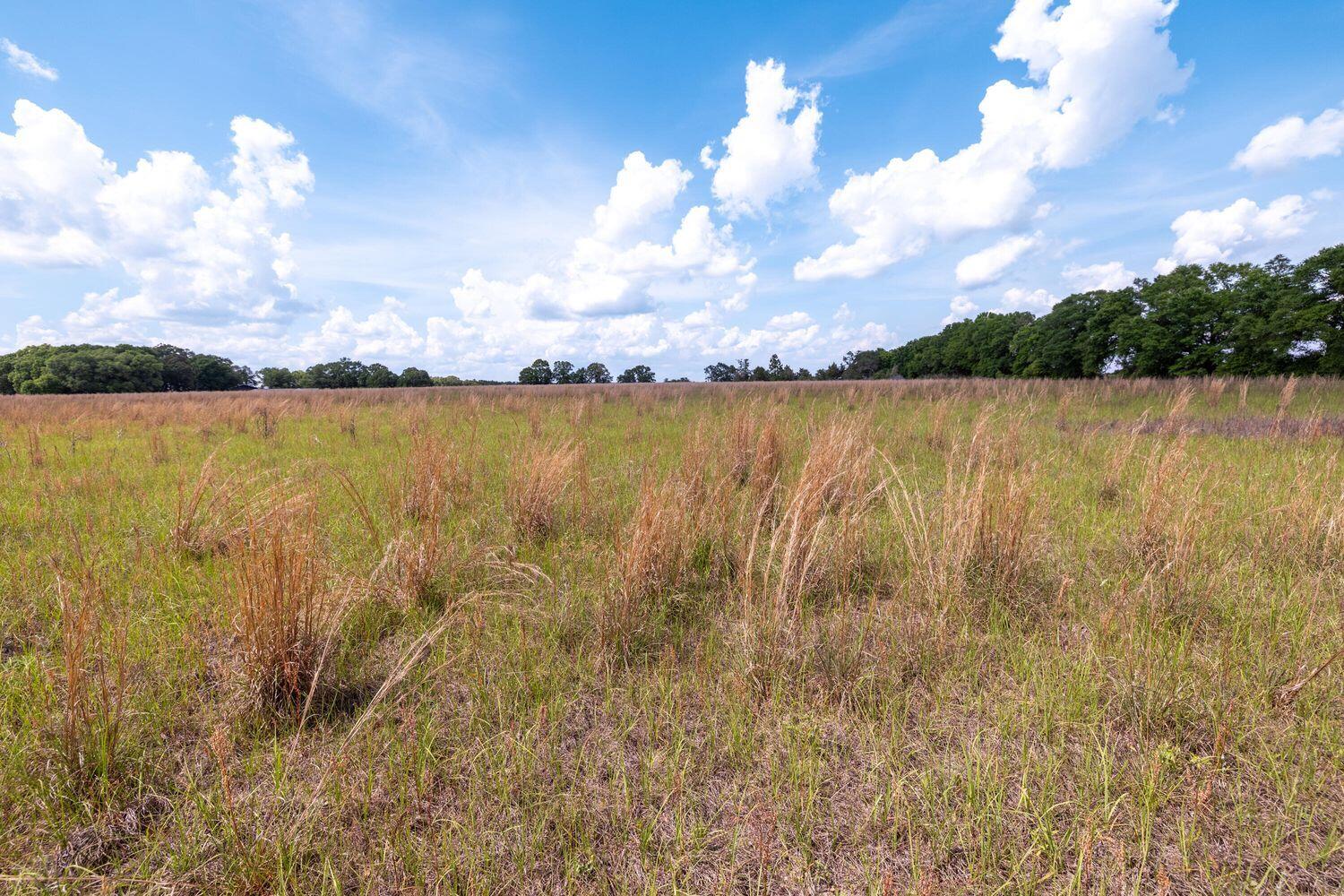1704 Cobb Road Baker, FL 32531 - Photo 25 of 29 a view of a lake and sunset