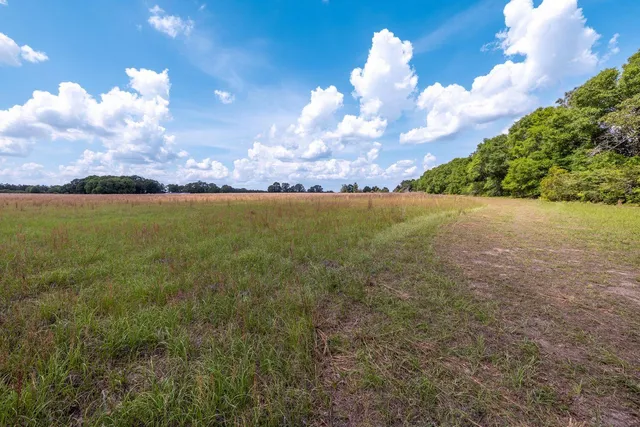 a view of a lake with a big yard