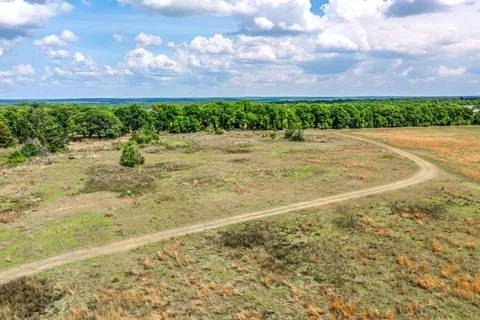 a view of a bunch of trees and bushes
