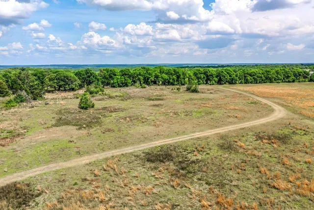a view of a bunch of trees and bushes