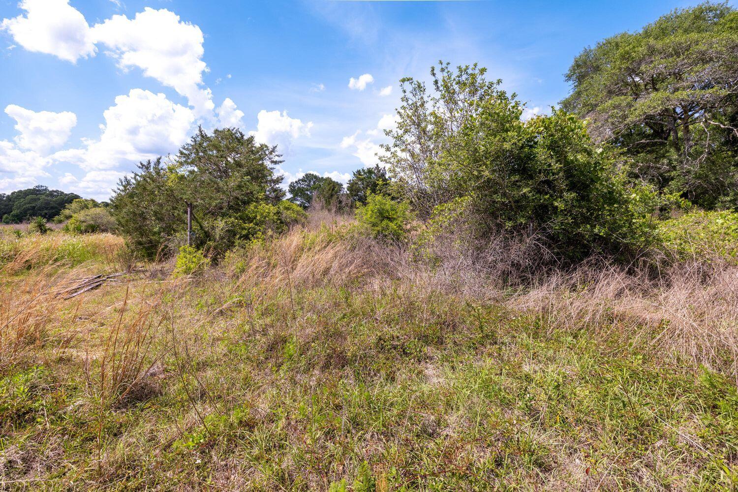 1704 Cobb Road Baker, FL 32531 - Photo 29 of 29 a view of a bunch of trees and bushes
