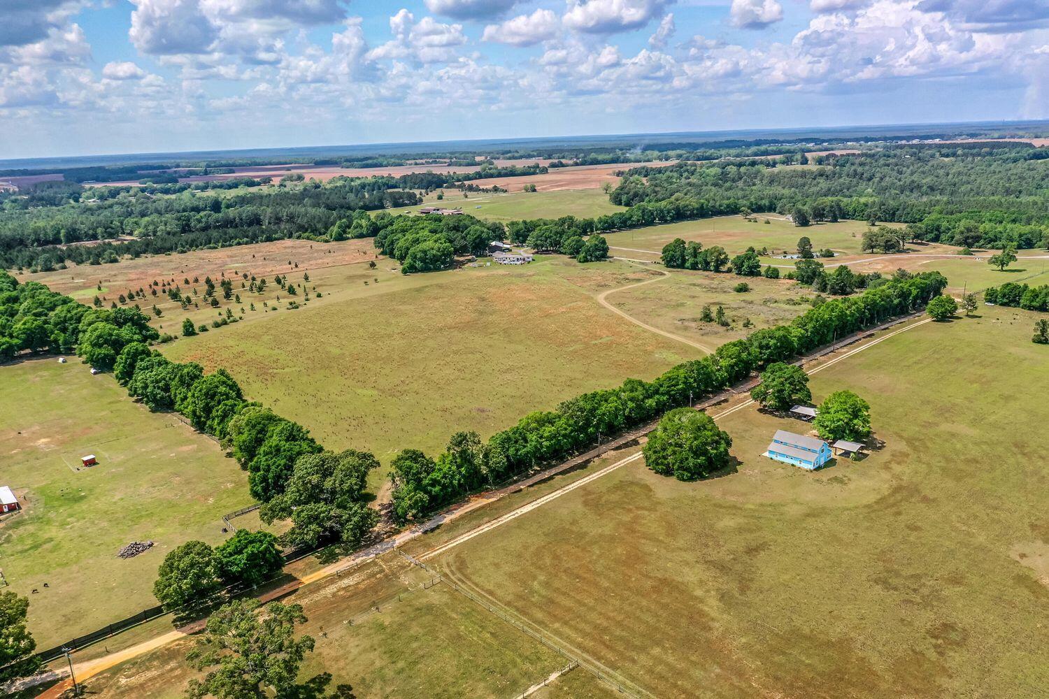 1704 Cobb Road Baker, FL 32531 - Photo 5 of 29 a view of a city