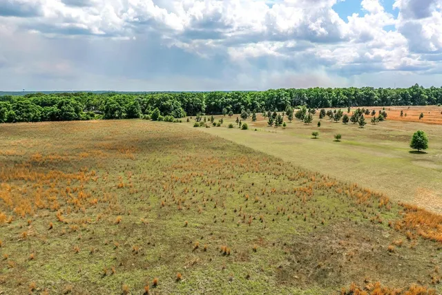 a view of lake and mountain