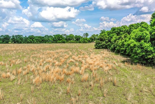 a view of a swimming pool with a yard