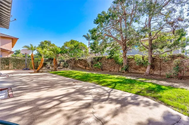a view of a street with a tree