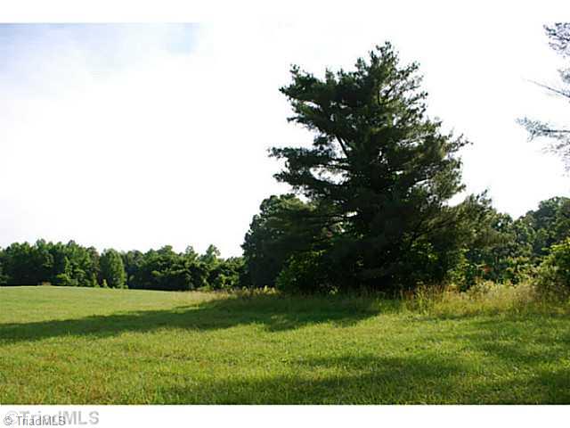 766 Conrad Road Lewisville, NC 27023 - Photo 12 of 16 Other.
