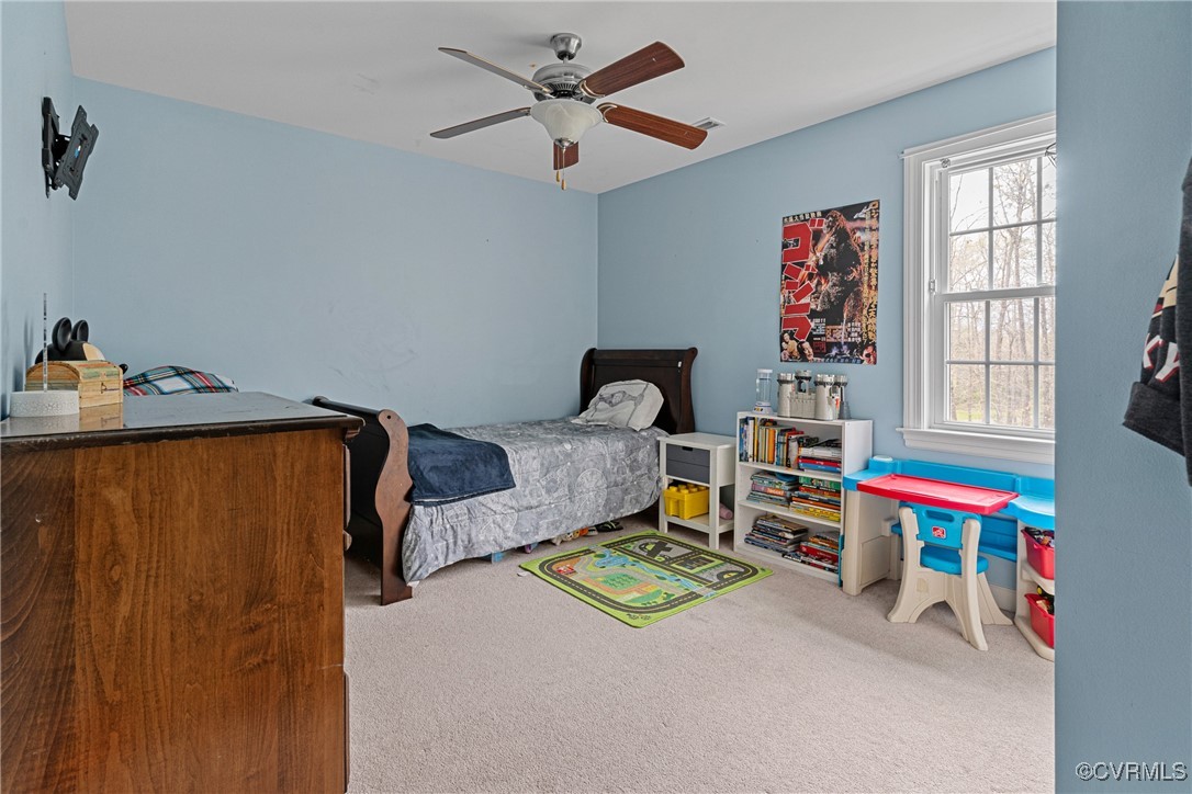 114 Cedar Crest Road Aylett, VA 23009 - Photo 10 of 27