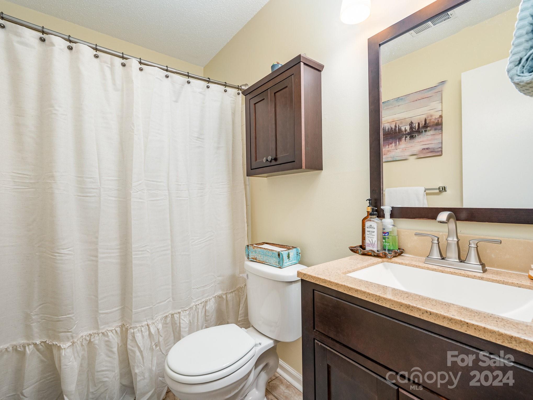 11625 Park Road Charlotte, NC 28226 - Photo 14 of 28 a bathroom with a sink a toilet and shower curtain