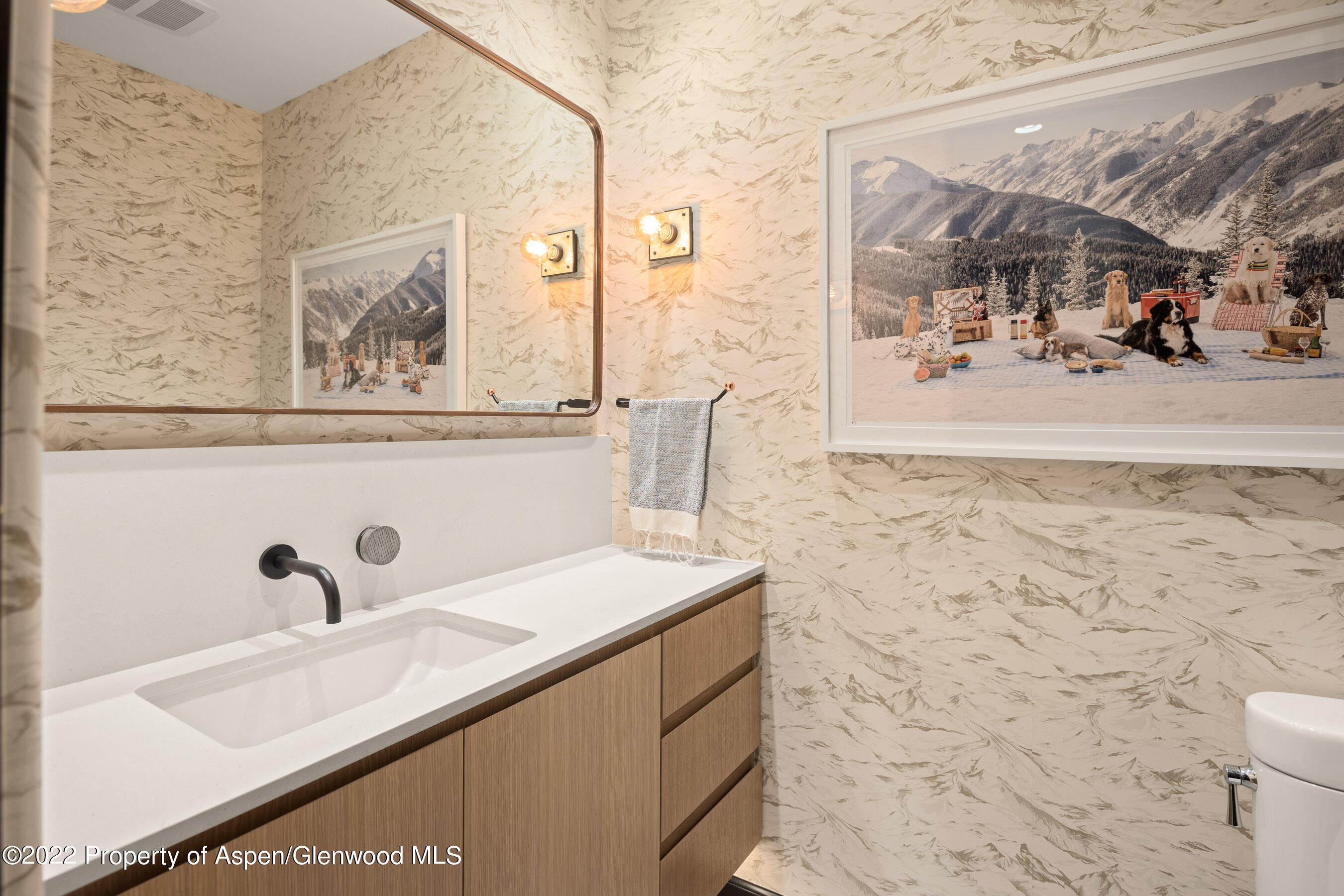 940 East Hyman Avenue Aspen, CO 81611 - Photo 28 of 32 a bathroom with a sink and a mirror