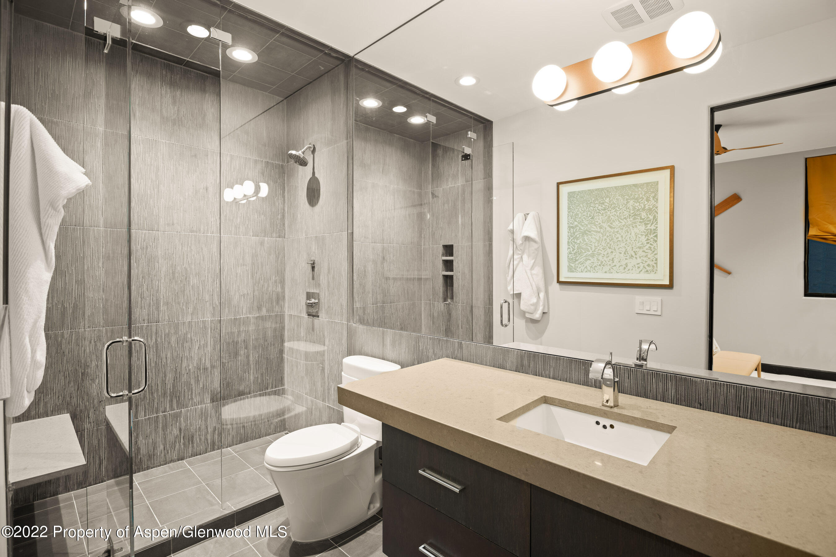 940 East Hyman Avenue Aspen, CO 81611 - Photo 30 of 32 a bathroom with a sink a toilet a mirror and shower