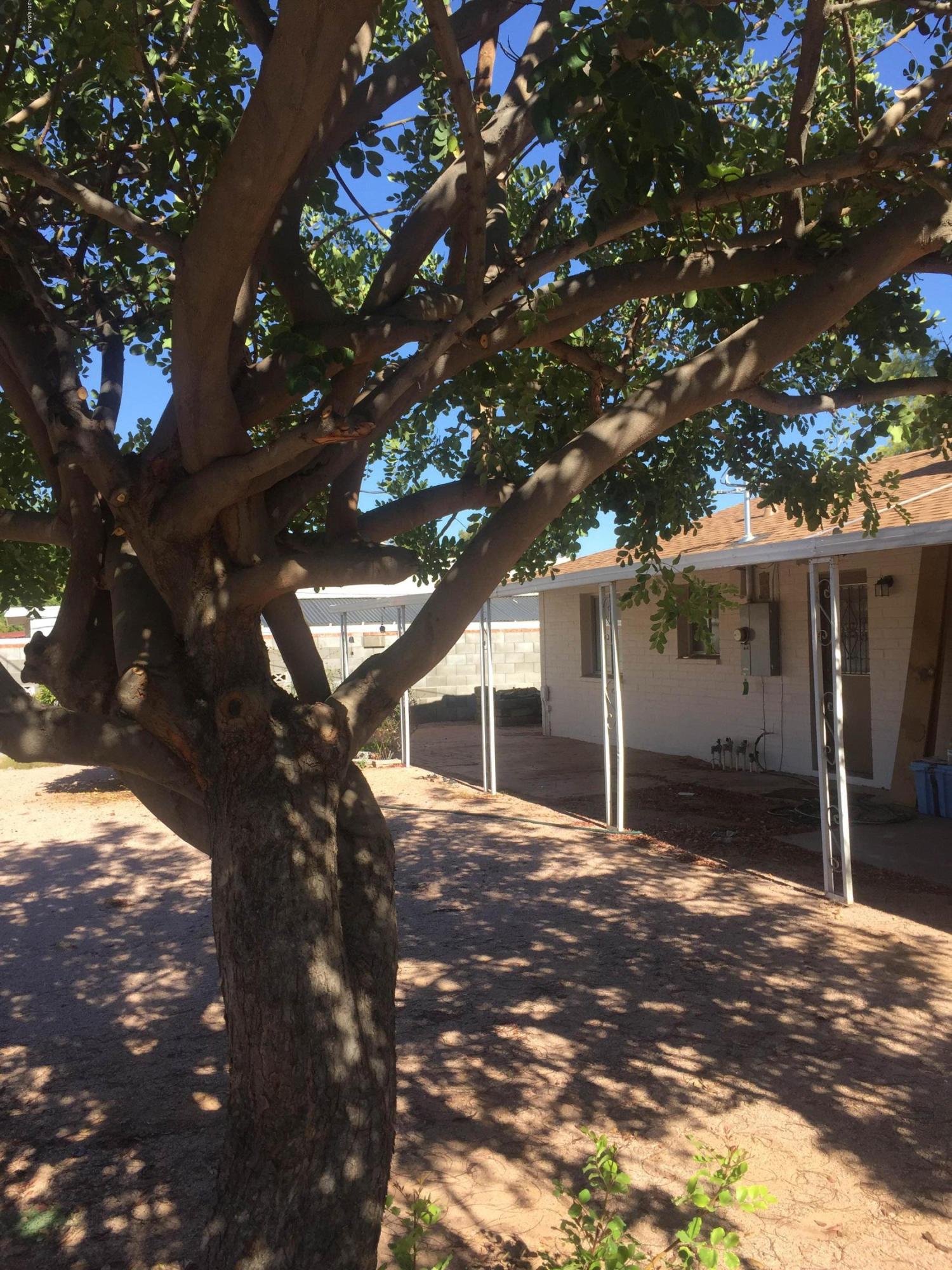 1234 East Riviera Drive Tempe, AZ 85282 - Photo 25 of 25 IMG_3662