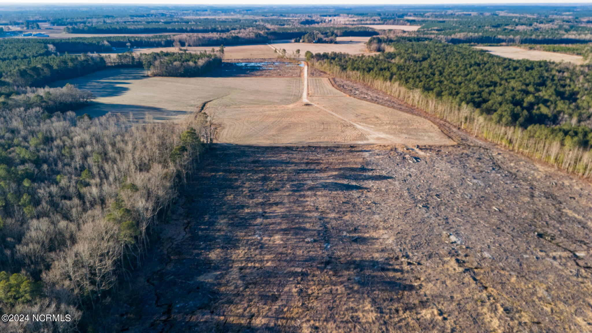 0 Smith Road Gates, NC 27937 - Photo 5 of 22 69 Acres Smith Rd-15