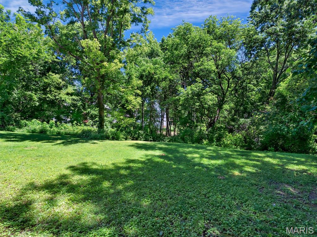 908 North Ballas Road St. Louis, MO 63131 - Photo 47 of 53