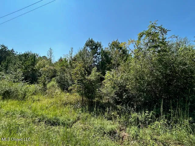 $110,000 | Summit Holmesville Road, McComb, MS 39648