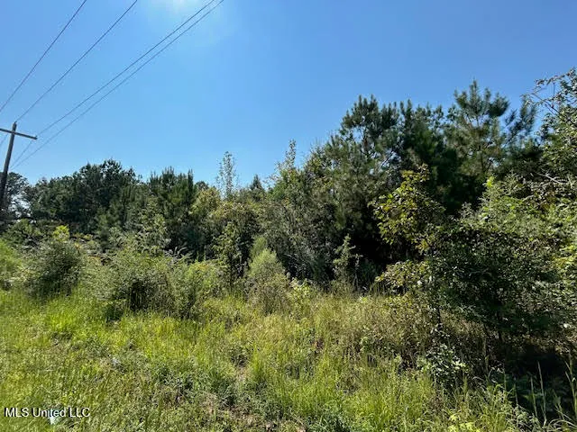 $110,000 | Summit Holmesville Road, McComb, MS 39648