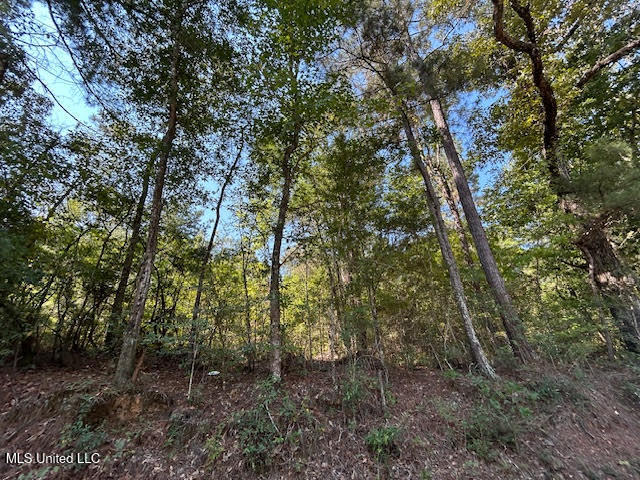 Summit Holmesville Road McComb, MS 39648 - Photo 5 of 13 5
