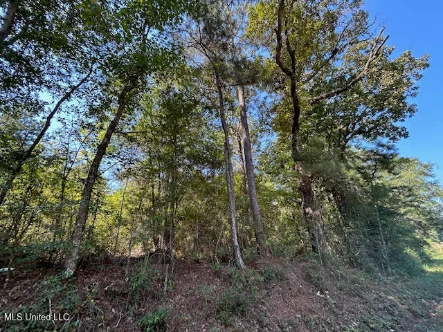 $110,000 | Summit Holmesville Road, McComb, MS 39648