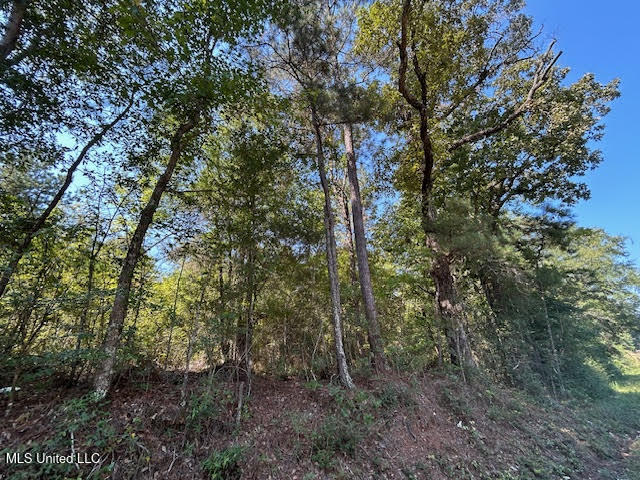 Summit Holmesville Road McComb, MS 39648 - Photo 6 of 13 6