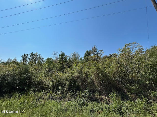 Summit Holmesville Road McComb, MS 39648 - Photo 9 of 13 9