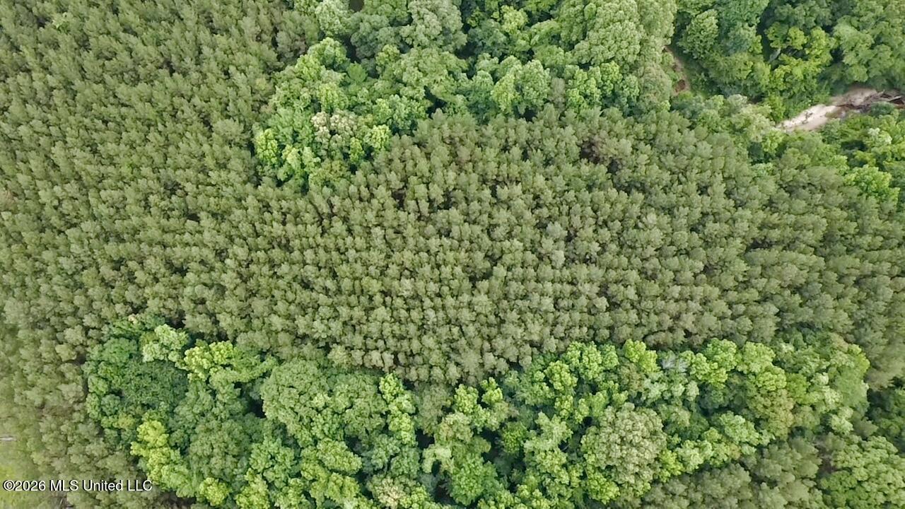 8119 Dry Grove Road Raymond, MS 39154 - Photo 28 of 45 2026-06-08-17-37-22-917