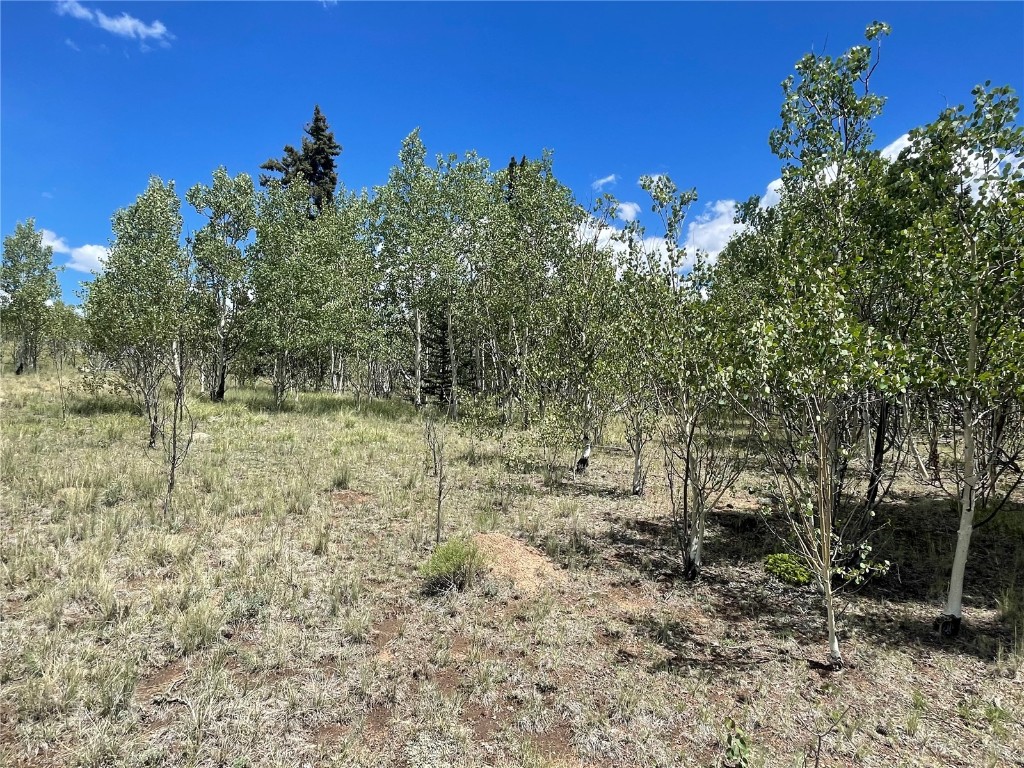 771 Teton Trail Como, CO 80456 - Photo 11 of 24 a view of a forest with trees in the background