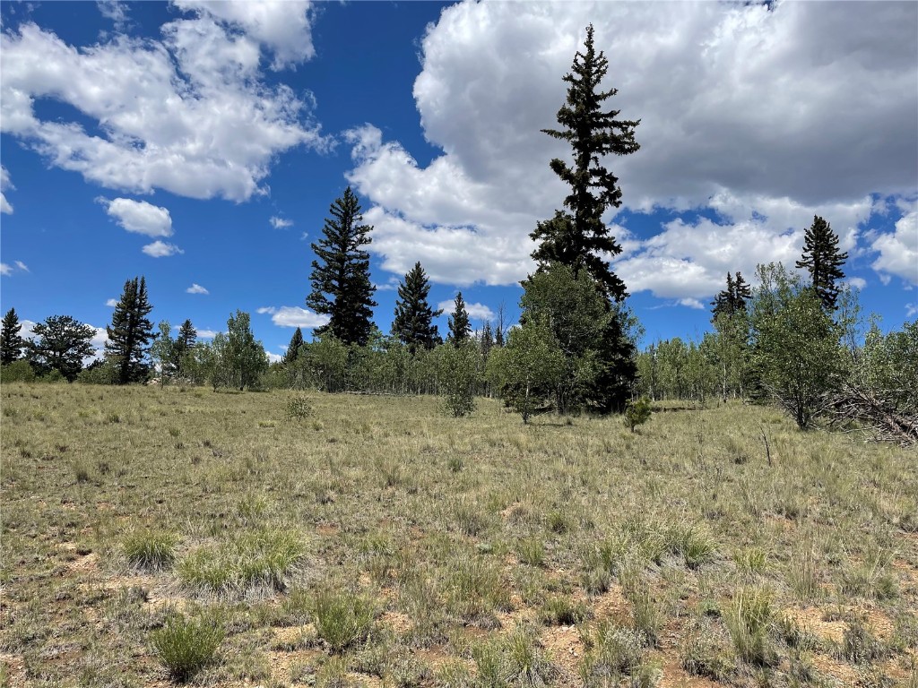 771 Teton Trail Como, CO 80456 - Photo 12 of 24 a view of a yard