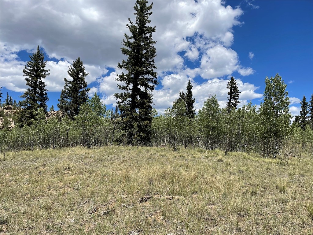 771 Teton Trail Como, CO 80456 - Photo 14 of 24 a view of a bunch of trees