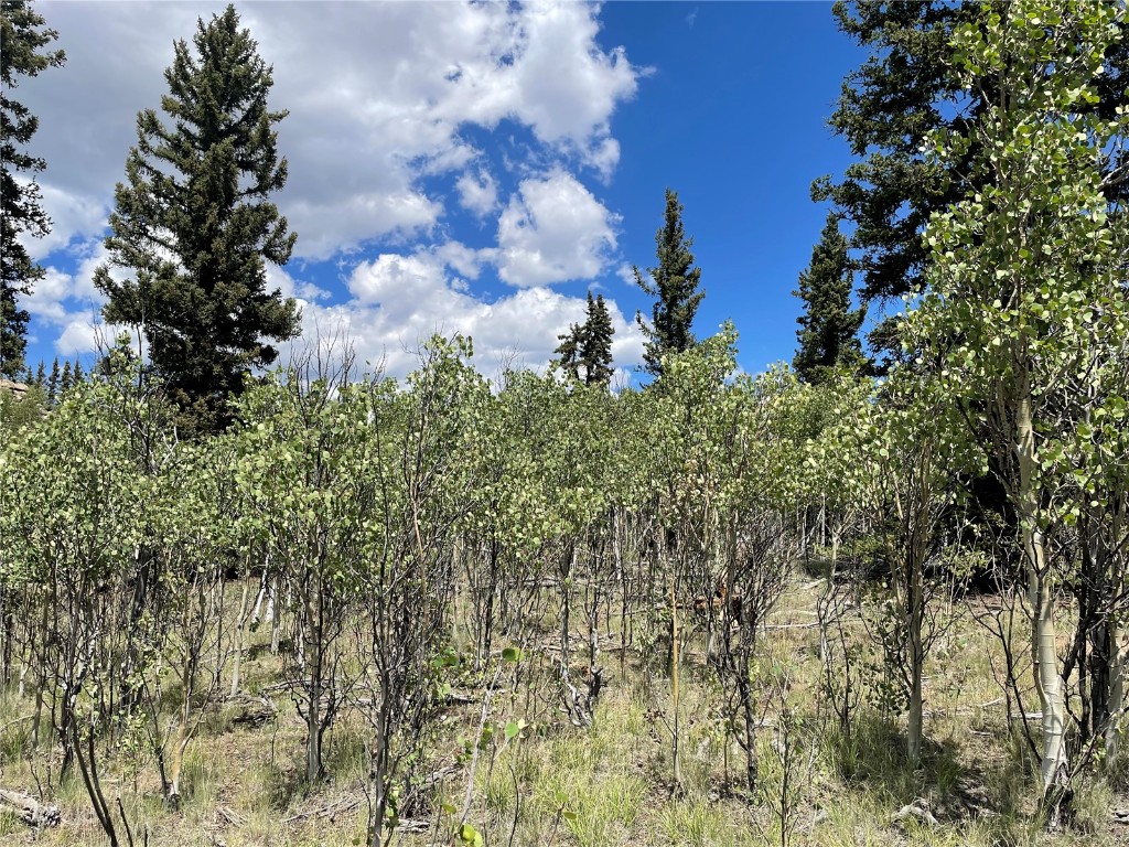 771 Teton Trail Como, CO 80456 - Photo 15 of 24 a view of a city with lush green forest