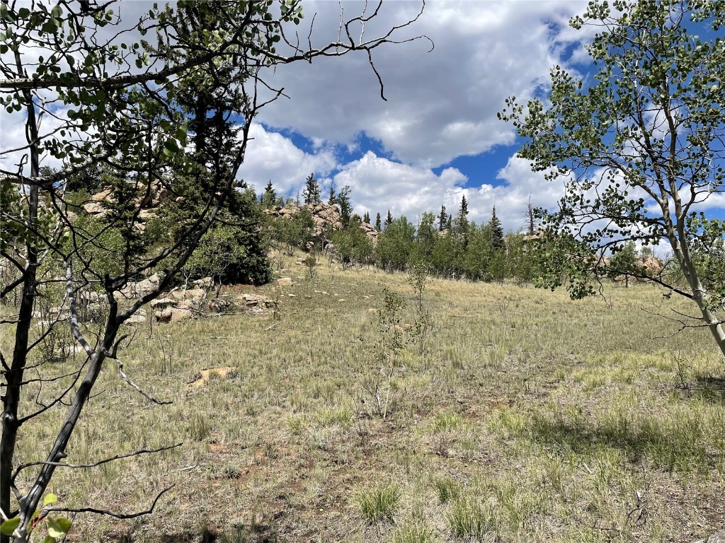 771 Teton Trail Como, CO 80456 - Photo 16 of 24 a view of a yard with a tree