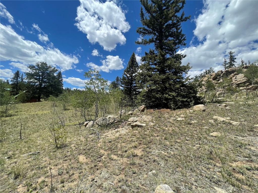 771 Teton Trail Como, CO 80456 - Photo 18 of 24 a view of a bunch of trees and bushes