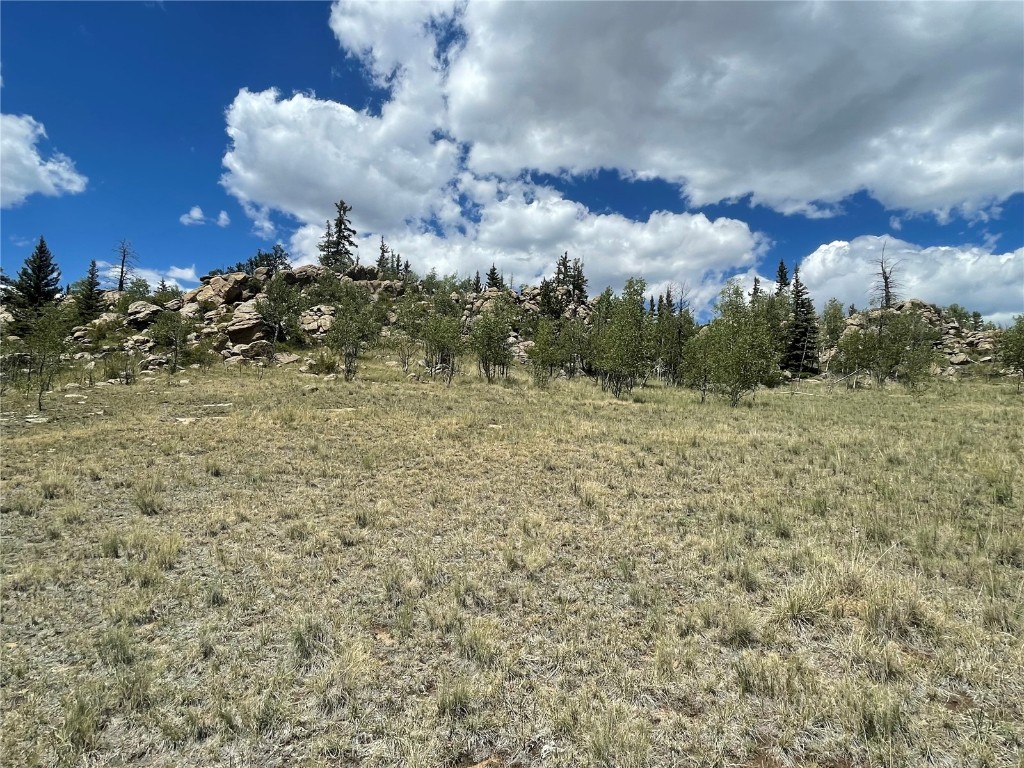 771 Teton Trail Como, CO 80456 - Photo 21 of 24