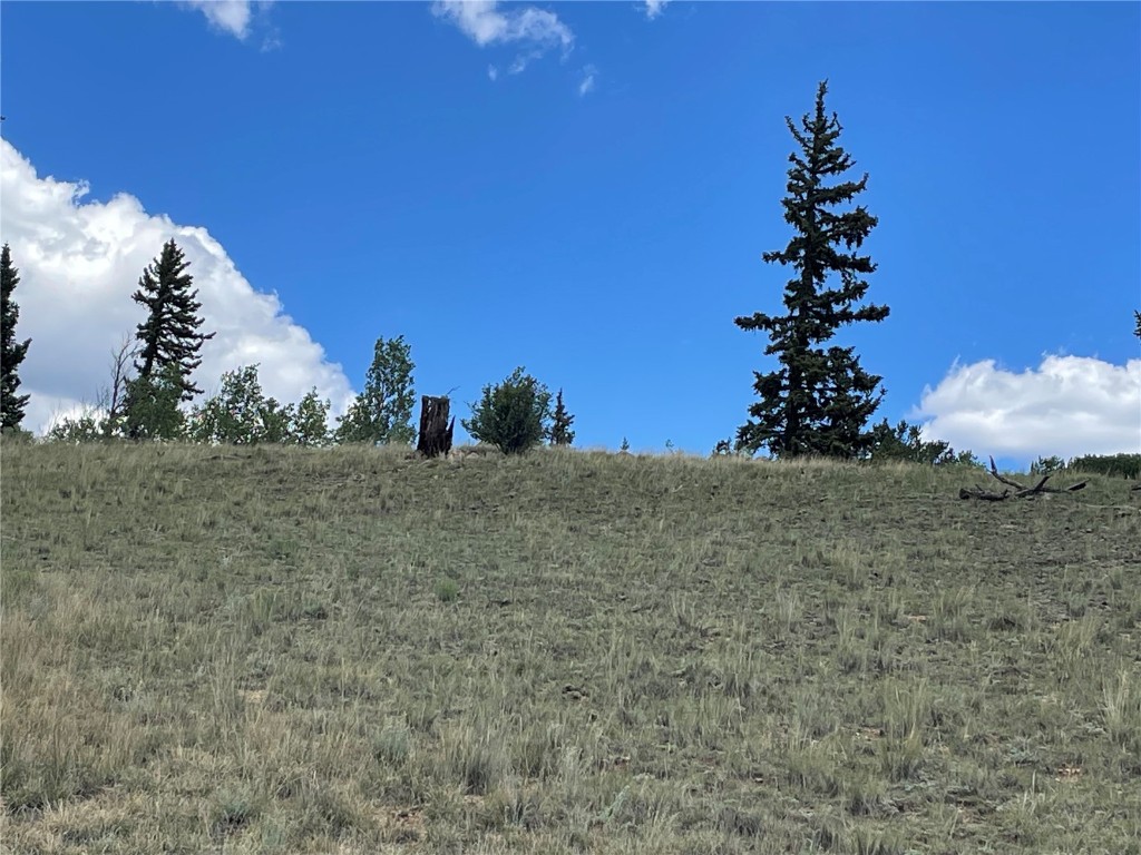 771 Teton Trail Como, CO 80456 - Photo 23 of 24