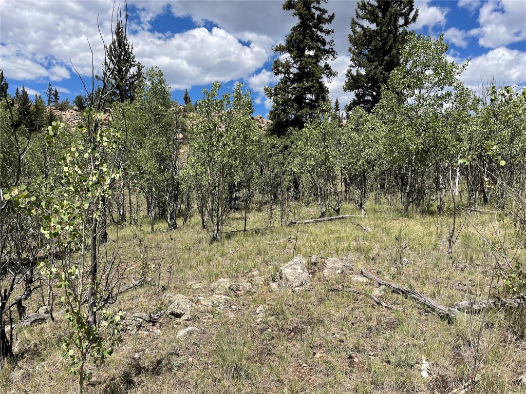 771 Teton Trail Como, CO 80456 - Photo 3 of 24 a view of outdoor space with a lake view