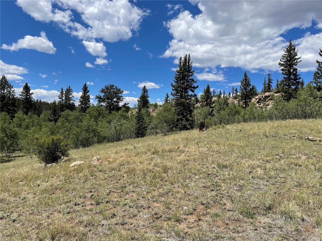 771 Teton Trail Como, CO 80456 - Photo 4 of 24 a view of a building