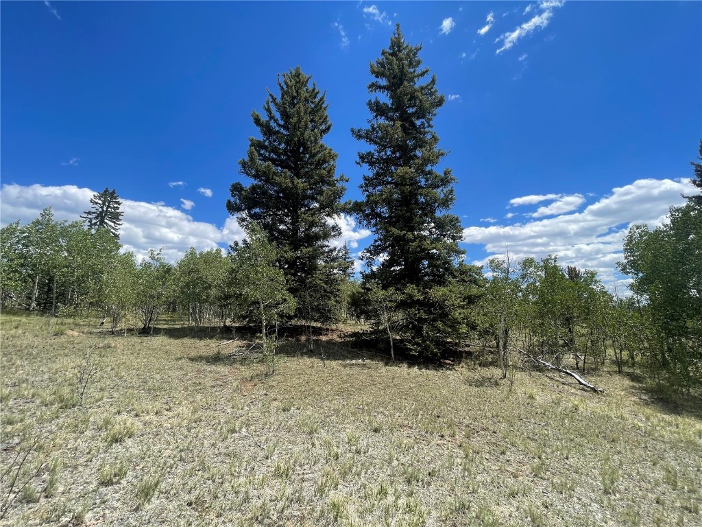 771 Teton Trail Como, CO 80456 - Photo 6 of 24 a view of outdoor space with mountain view