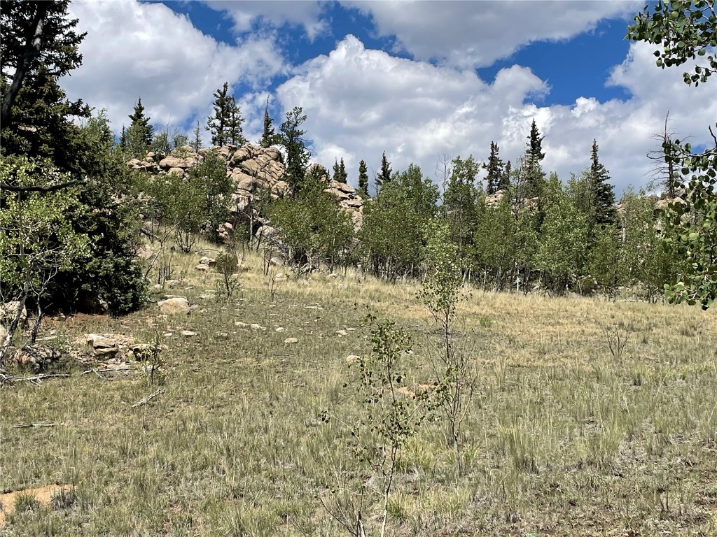 771 Teton Trail Como, CO 80456 - Photo 8 of 24 a view of a yard