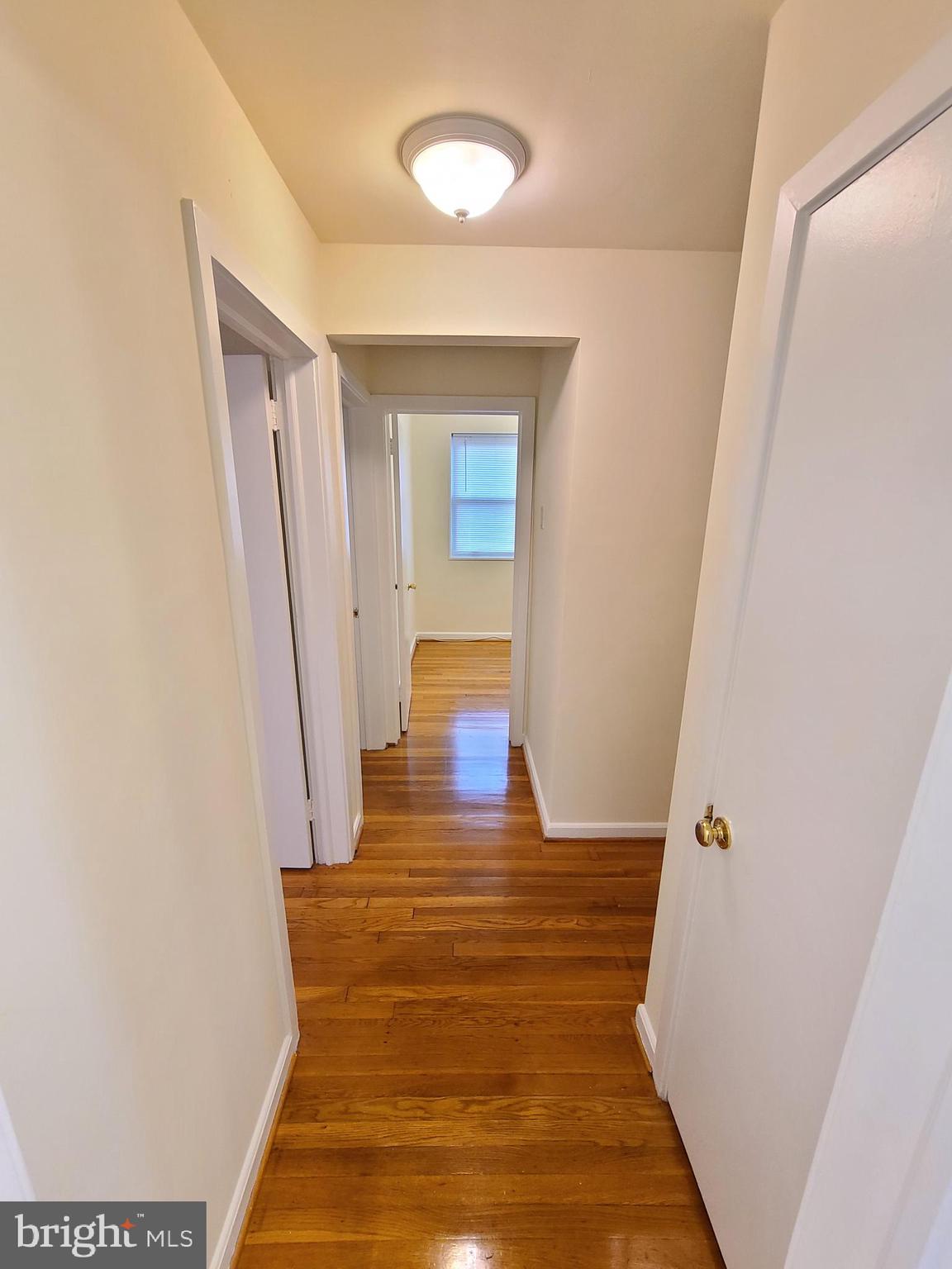 3605 Randolph Road Silver Spring, MD 20902 - Photo 12 of 36 Main Level Hall