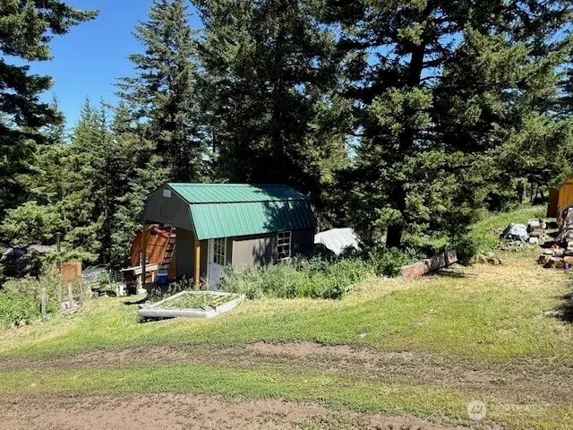 a view of backyard with a barn and large trees