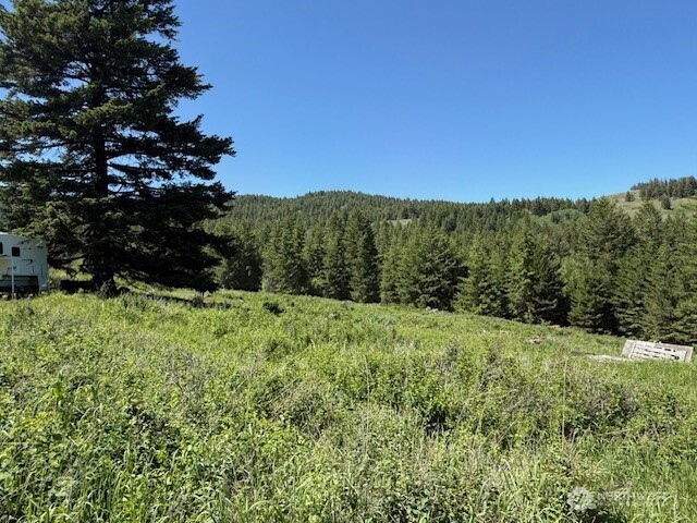 175 Ellemeham Road Loomis, WA 98827 - Photo 11 of 11 a view of a lush green outdoor space with a lake view