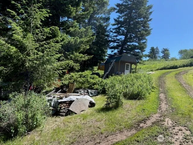 a view of a garden with a bench and trees