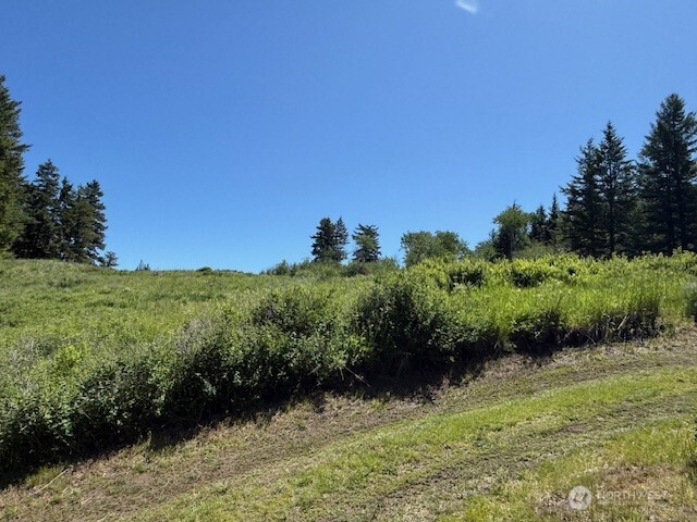 175 Ellemeham Road Loomis, WA 98827 - Photo 9 of 11 a view of a garden