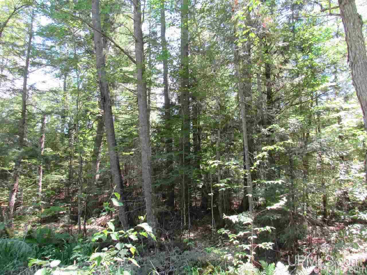 2804-acres Co Rd 442 McMillan, MI 49853 - Photo 17 of 48