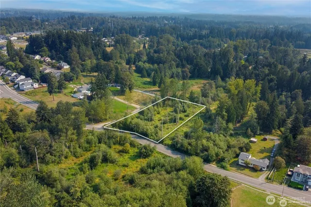 an aerial view of a residential houses with a yard and lake view