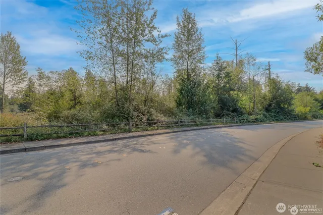 a view of a rural road with plants and trees